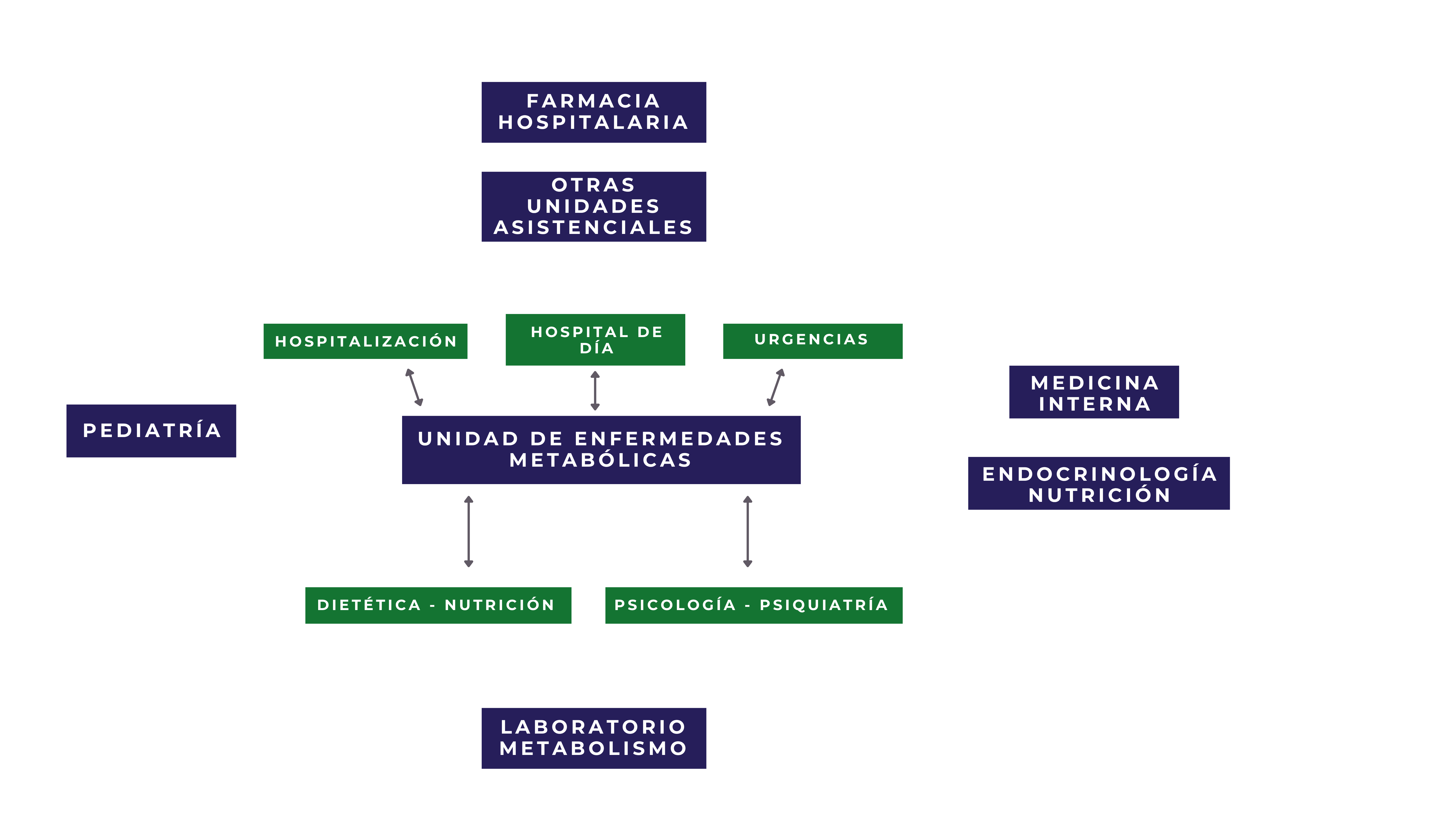 Esquema organizaci&oacute;n