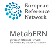 Imagen de Metabern